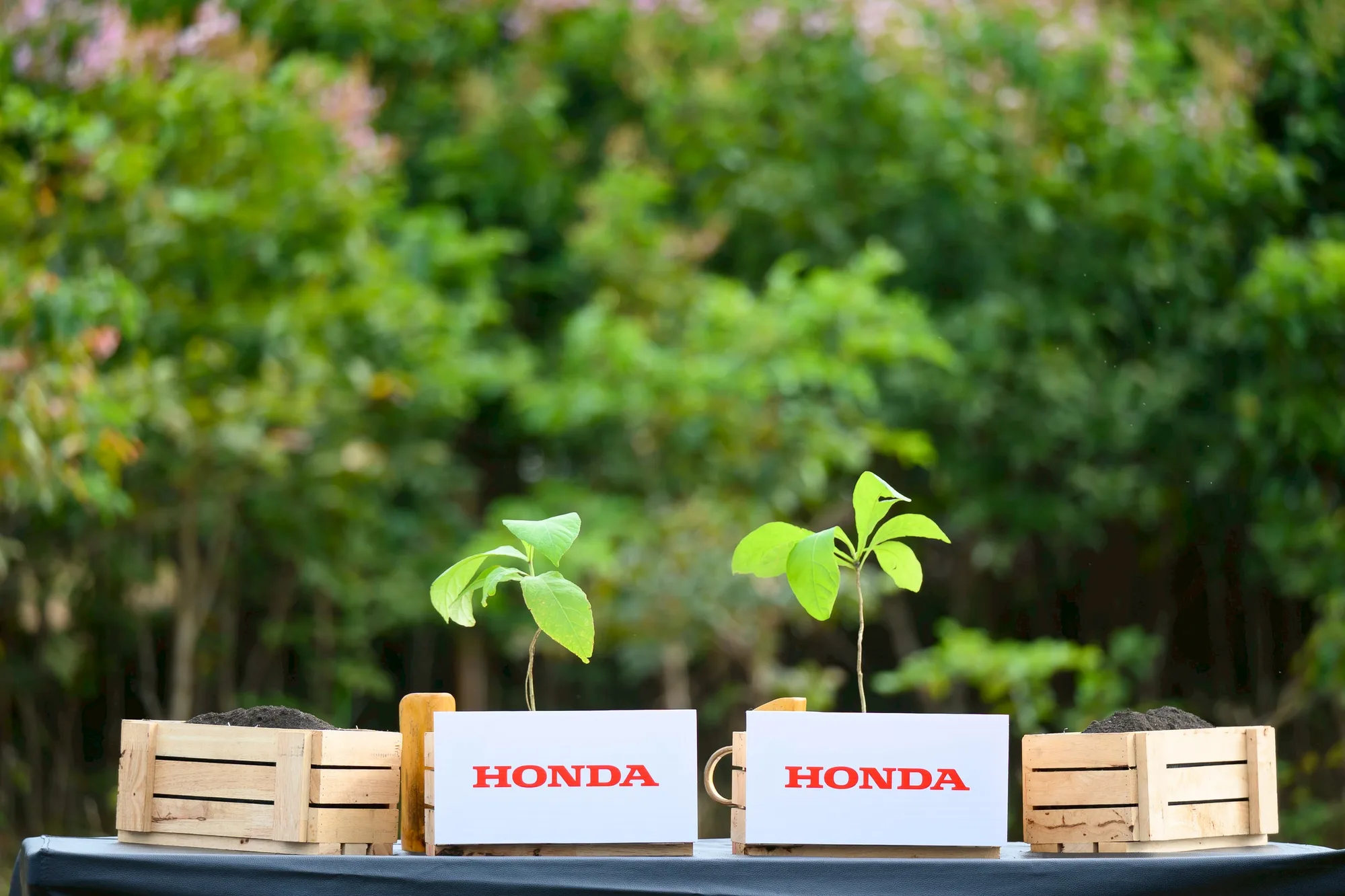ฮอนด้าปลูก “รักษ์” เพื่อโลก