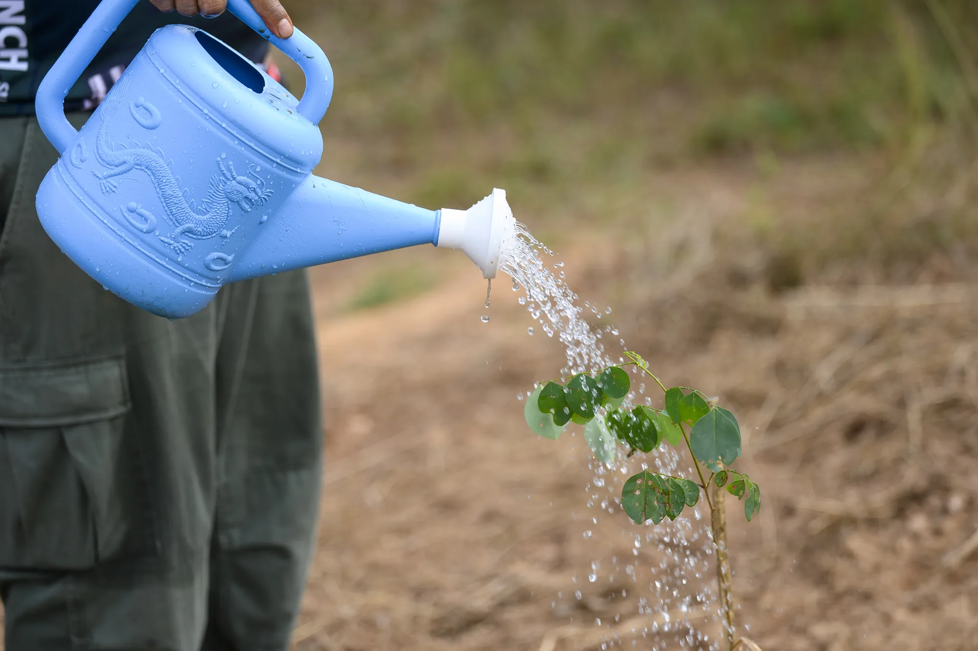 ฮอนด้าปลูก “รักษ์” เพื่อโลก